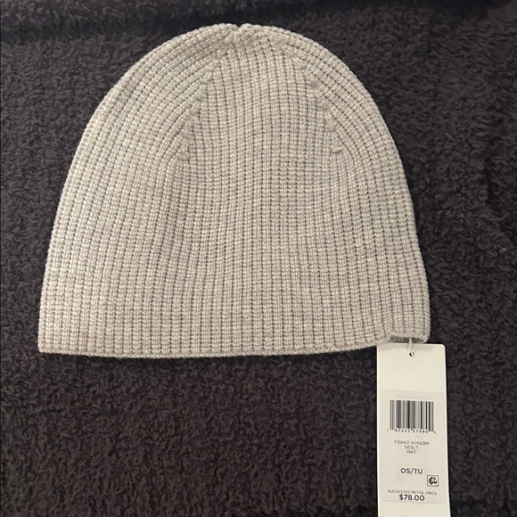 Eileen Fisher Accessories - Eileen Fisher Grey Merino Wool Beanie
